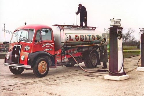 Cv269a lobitos bvf petrol - -,