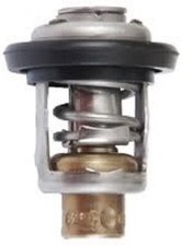 EVINRUDE JOHNSON THERMOSTAT
