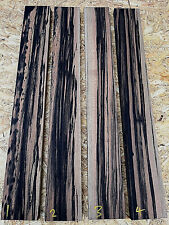 BLACK AND WHITE EBONY guitar