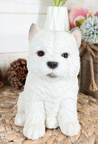 Sitting west highland terrier - sitting,
