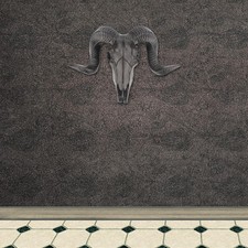 Wildlife Animal Head Wall