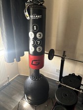 Weight Bench With Weights And