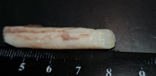 Carats belemnite pipe - 16,