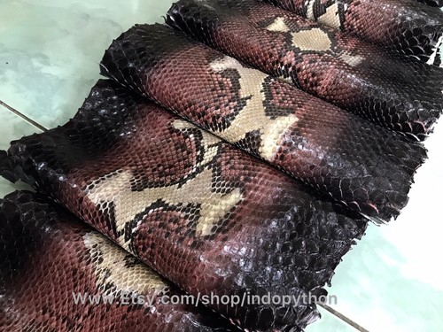 Genuine python leather exotic - genuine,