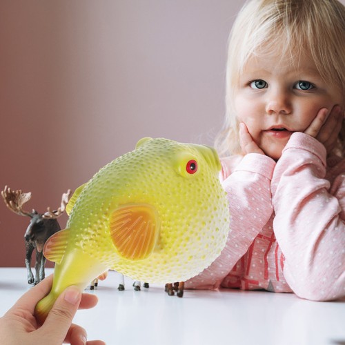 Simulation puffer fish model - fish,