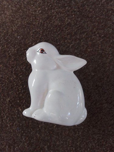 Cute little white - bunny, rabbit