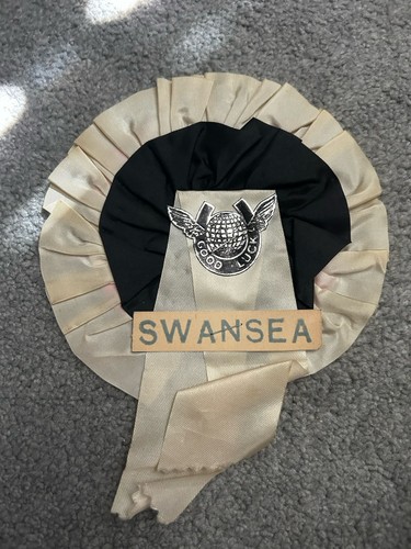 Swansea football club - swansea,