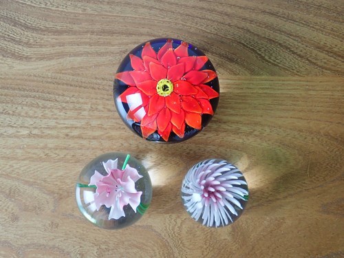 Collection floral - of,