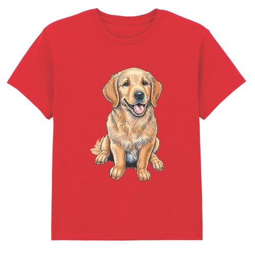 Golden retriever puppy - golden,