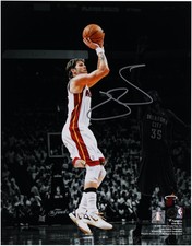 Mike Miller Heat Signed 11x14
