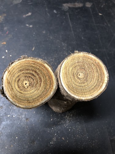 Pair sumac pieces for - of,