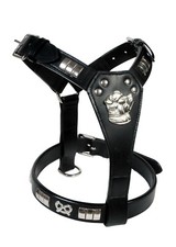 LEATHER STAFFY DESIGNER DOG