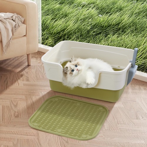 Cat kitten litter - kitten,