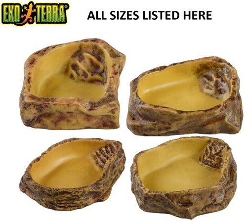 Exo terra reptile water dish - water,