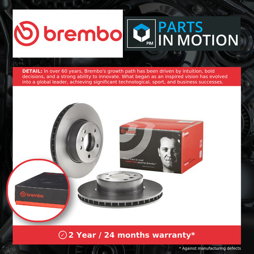 Brake discs pair - 2x,