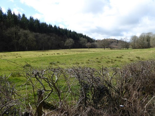 Photo 6x4 pasture - 6x4, the