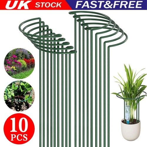 Pack bow plant - pack,
