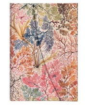 Paperblanks Anemone Mini Lined Hardcover Journal (Hardback) William Kilburn