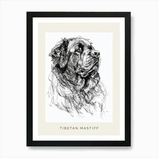 Tibetan Mastiff Dog Line