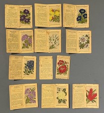 Kensitas Silk Flowers