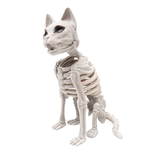 Skeleton cat figurine - skeleton,