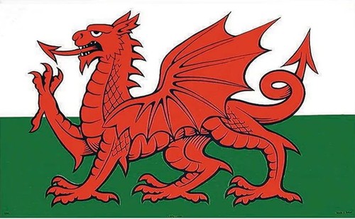 Stow green 100 - cotton, welsh
