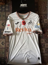 Swansea City fc 2024/25 match