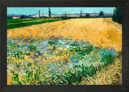 Van gogh wheatfield 1888 - van,
