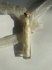 Vintage Corn Snake Skin Shed