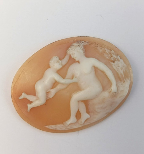 Shell cameo vintage venus - shell,