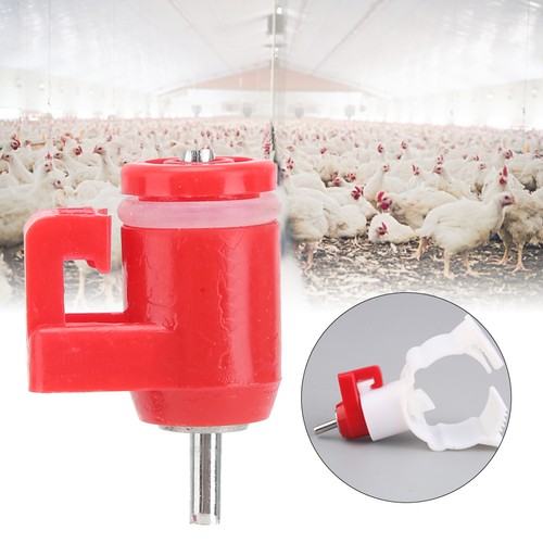 New 20pcs chicken drinking - new,