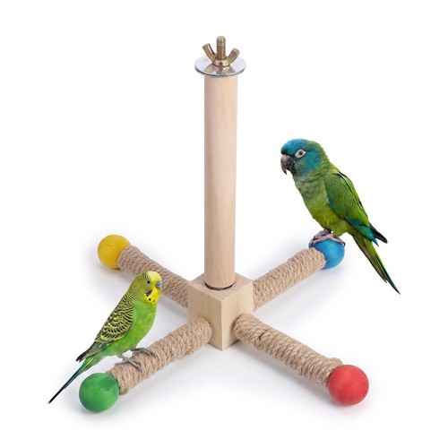 Bird stand perch toy 360 - perch, toy,