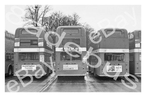 Bus photograph east - photograph, nbc