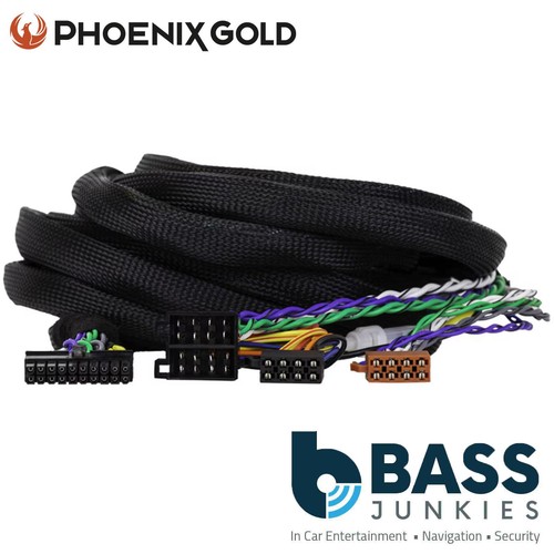 Phoenix gold zdc iso5 - phoenix, zdc-iso5