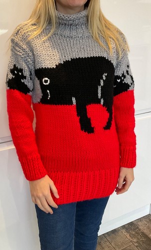 Cat design unique hand - , knitted