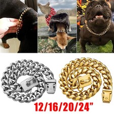 Large dog chain - dog, puppy