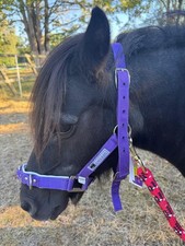 CLEARANCE - Kincade Lunge Cavesson Blue  - Pony