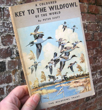 1972 A Key to the Wildfowl of