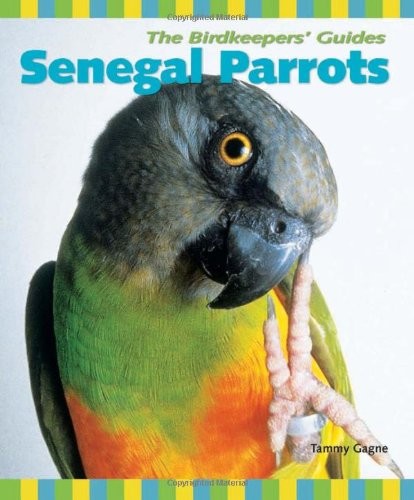 Senegal parrots birdkeepers - senegal,