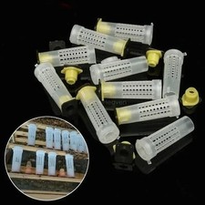10PCS Beekeeping Plastic Queen