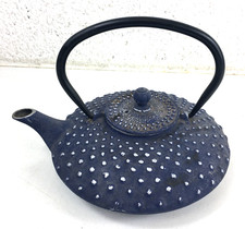 Vintage Japanese Cast Iron Teapot Blue & White