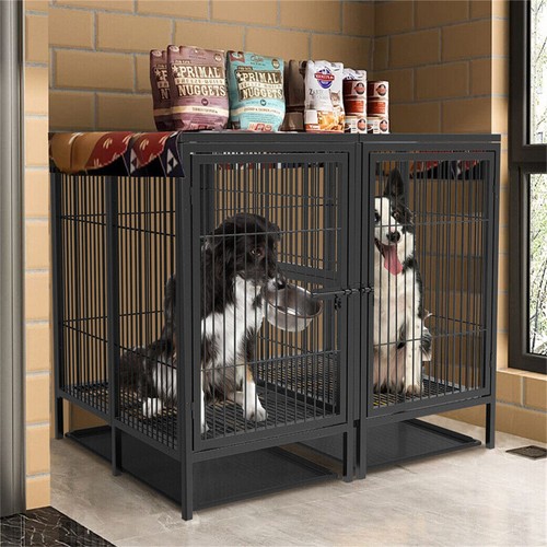 Jumbo xxl large dog - dog, heavy