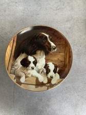 Franklin Mint Plate Mother's Pride - Dogs -  Spaniel & Pups by Nigel Hemming