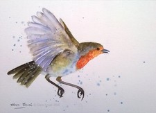 ROBIN Bird Wildlife Gift Art ORIGINAL Signed Watercolour Painting by Clare Crush