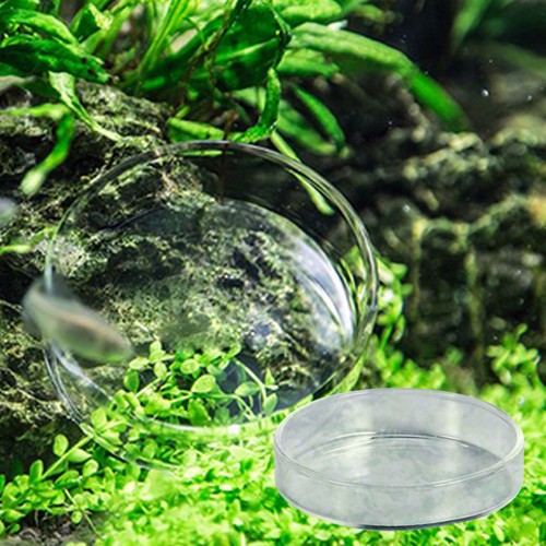 Crystal shrimp feeder fish - ,