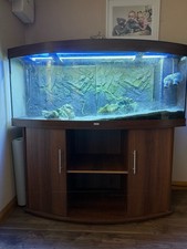 Juwel 450l fish tank