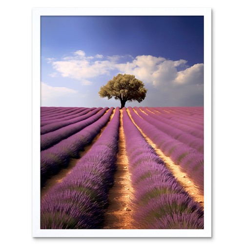 Lavender field provence france - provence,