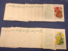 Wix Kensitas Silk Flowers 2nd