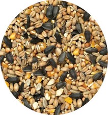 Garden bird seed 10kg - seed, 2kg