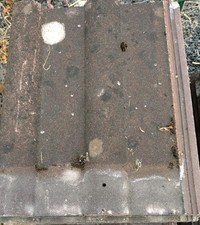 Reclaimed Double Roman M Roof